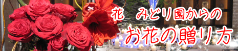お花の贈り方